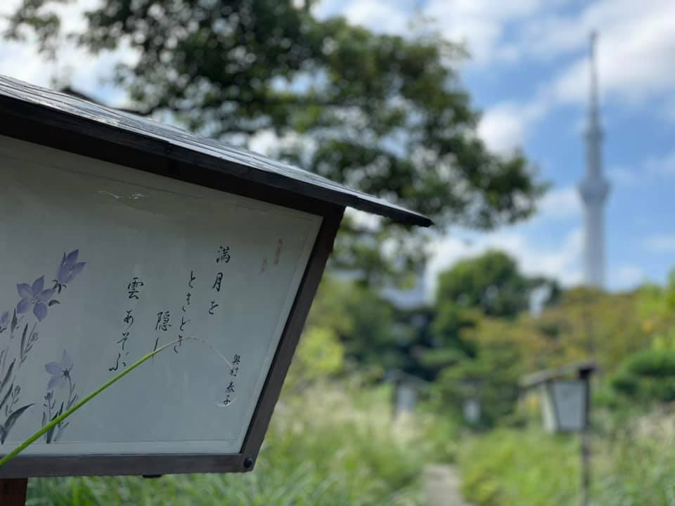 f:id:ogawasss0827:20210927115026j:plain