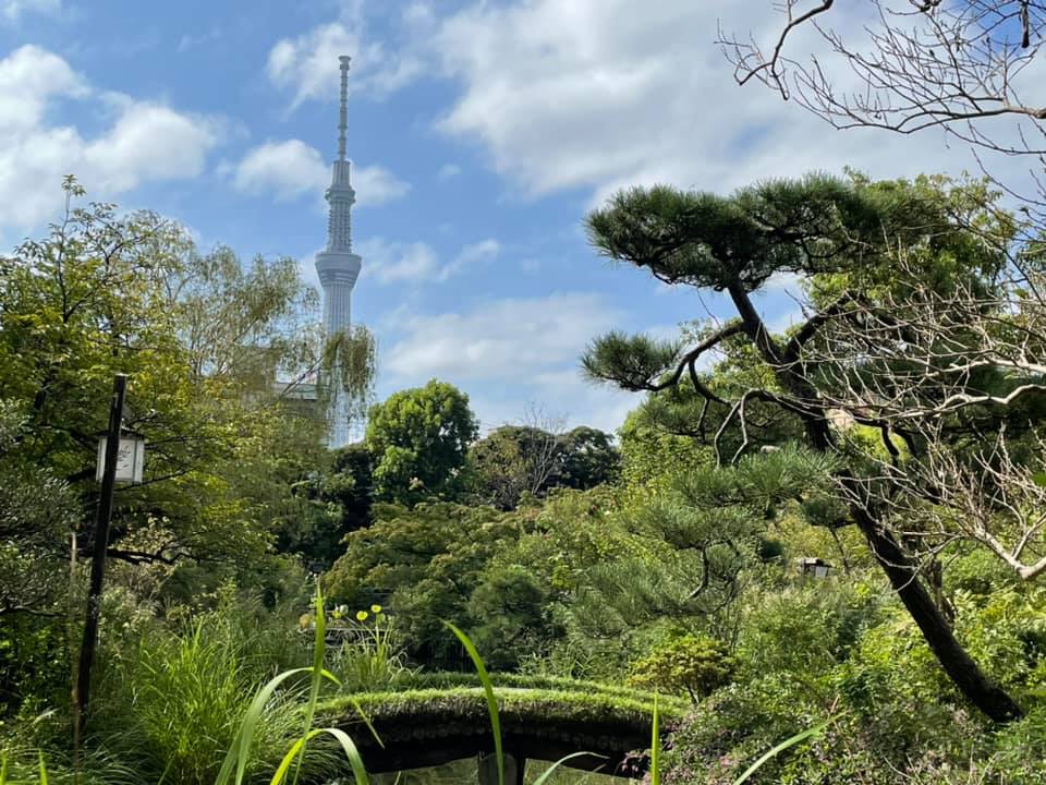 f:id:ogawasss0827:20210927115346j:plain