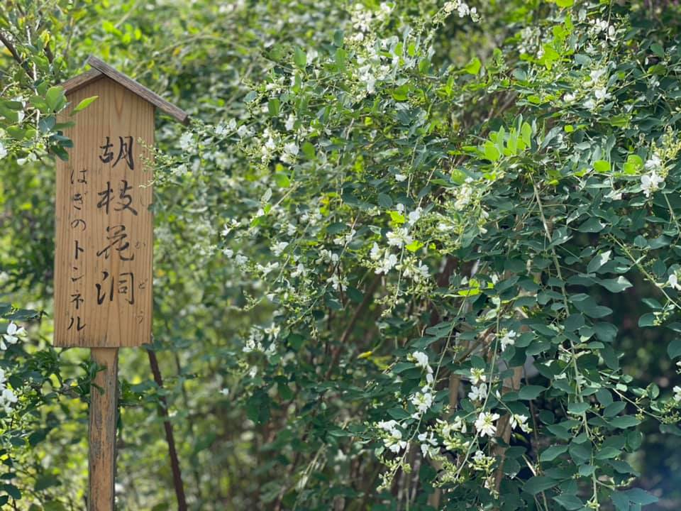 f:id:ogawasss0827:20210927115424j:plain