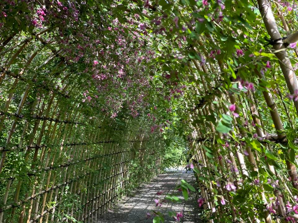 f:id:ogawasss0827:20210927115512j:plain