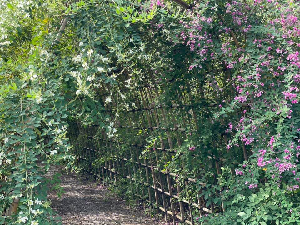 f:id:ogawasss0827:20210927115718j:plain