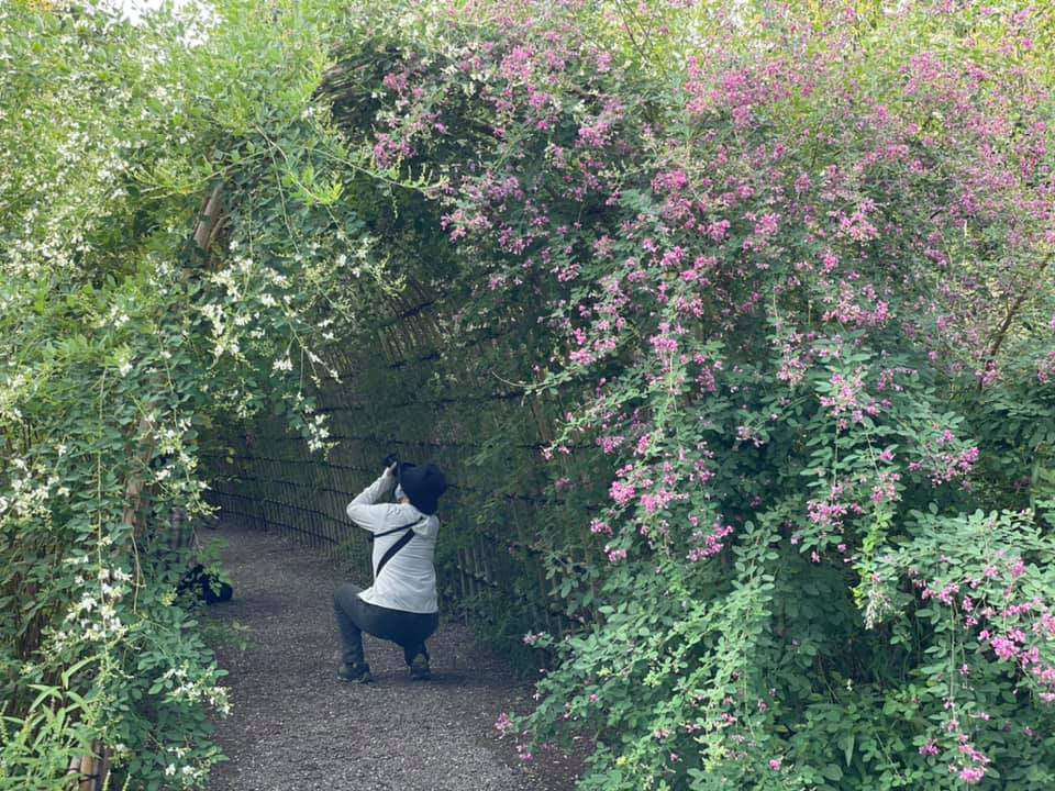 f:id:ogawasss0827:20210927115816j:plain