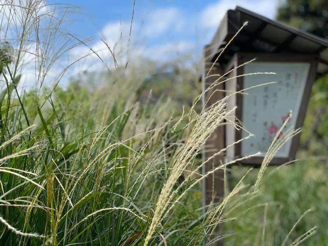 f:id:ogawasss0827:20210927120020j:plain