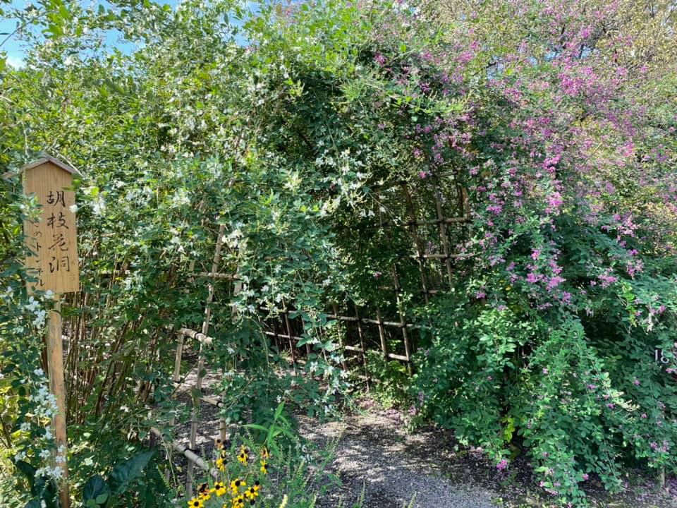 f:id:ogawasss0827:20210927120310j:plain