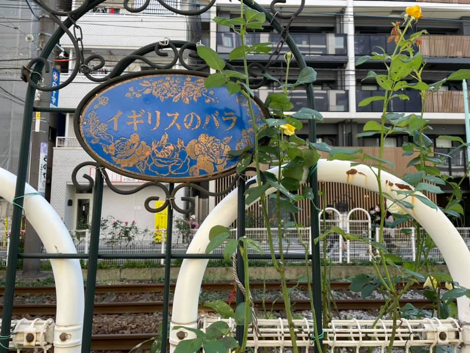 f:id:ogawasss0827:20211020100734j:plain