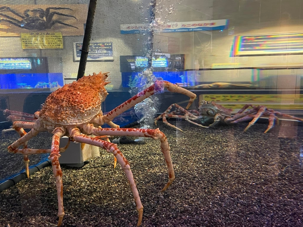 鳥取】楽しさいっぱいの無料ミニ水族館！「かにっこ館」へ - One Access
