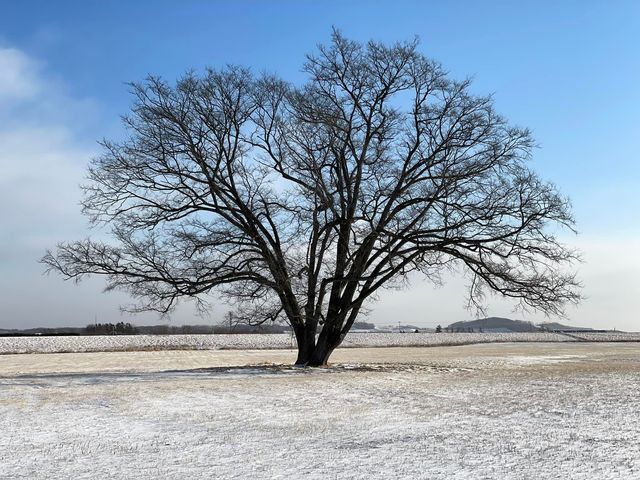 f:id:ogawasss0827:20220103153743j:plain