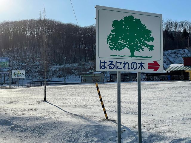 f:id:ogawasss0827:20220103153921j:plain