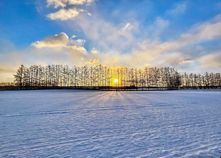 f:id:ogawasss0827:20220103154320j:plain