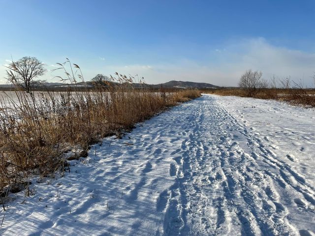 f:id:ogawasss0827:20220103154721j:plain