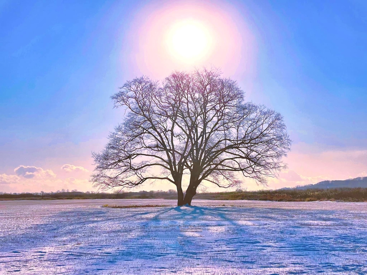 f:id:ogawasss0827:20220103155137j:plain