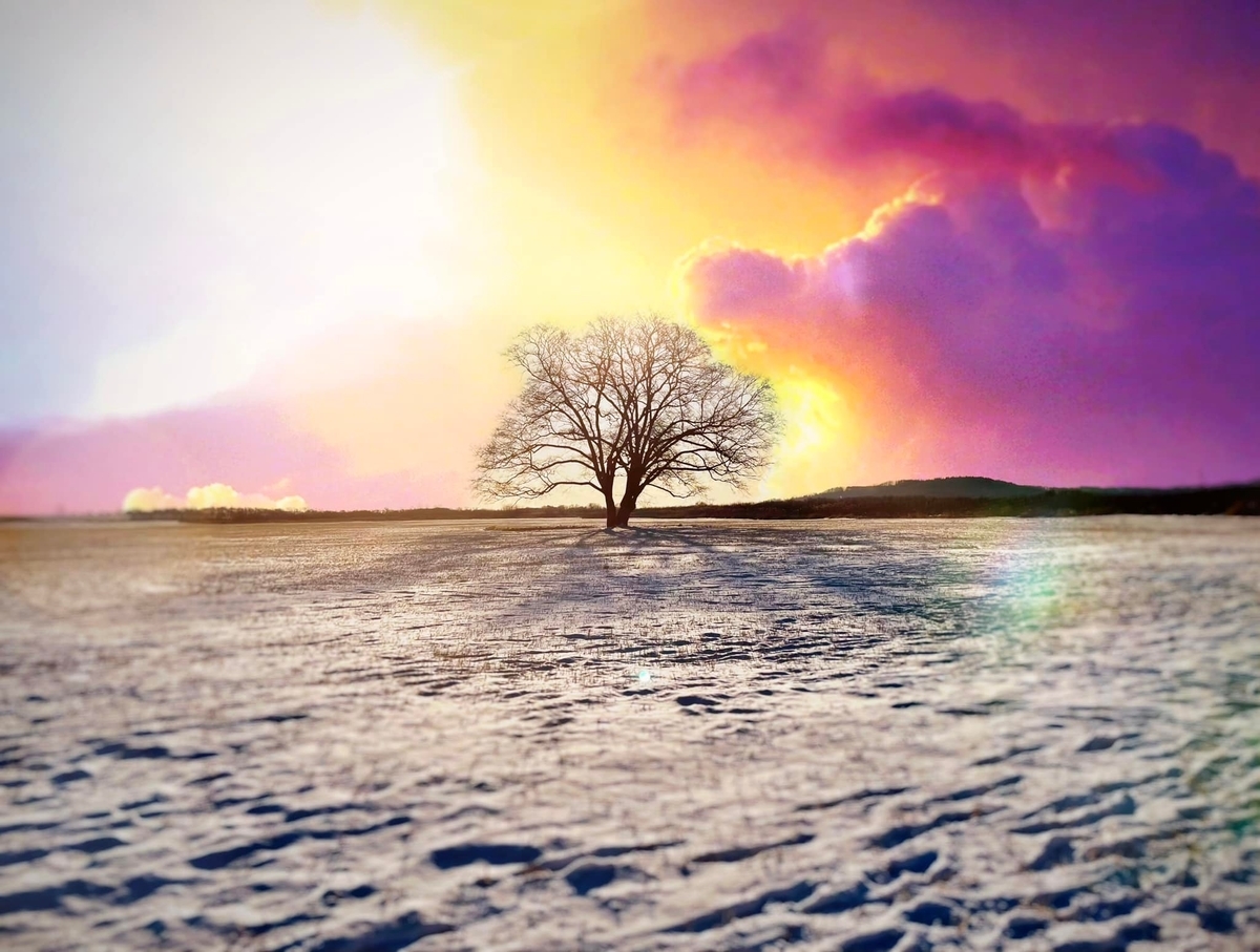 f:id:ogawasss0827:20220103155405j:plain