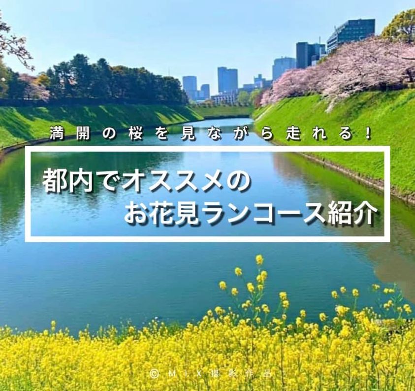 満開の桜を見ながら走れる！都内でオススメの「お花見ラン