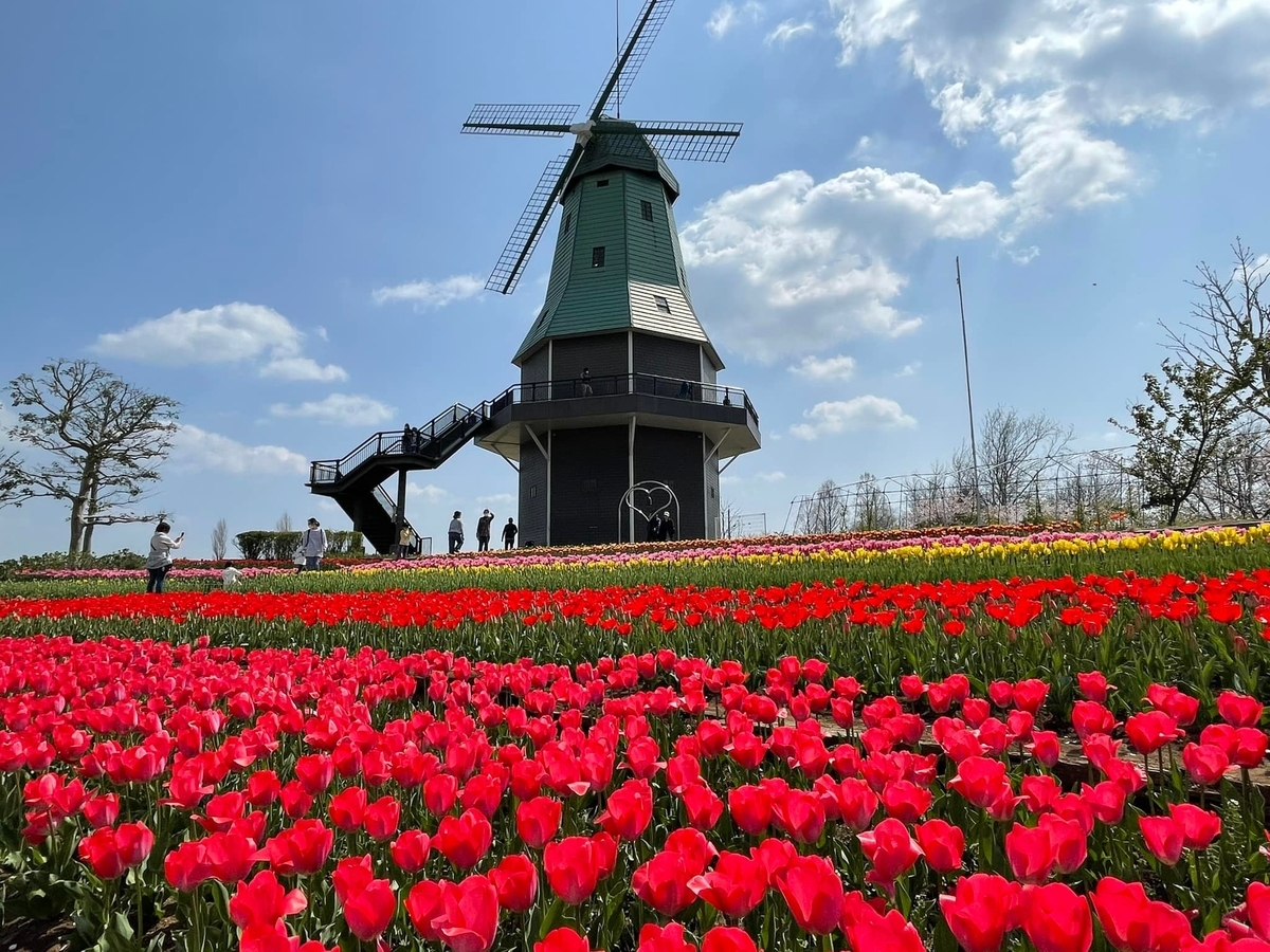 f:id:ogawasss0827:20220409170153j:plain