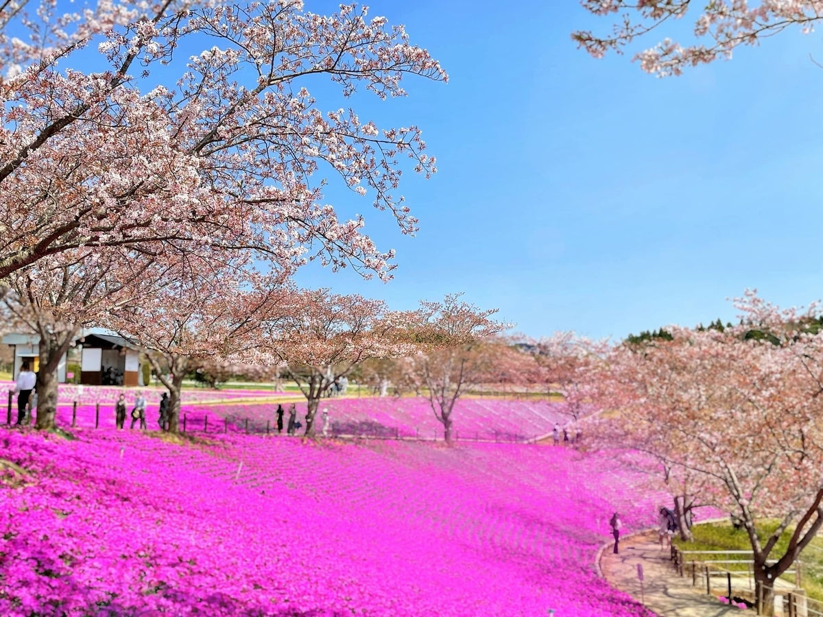 f:id:ogawasss0827:20220411192557j:plain