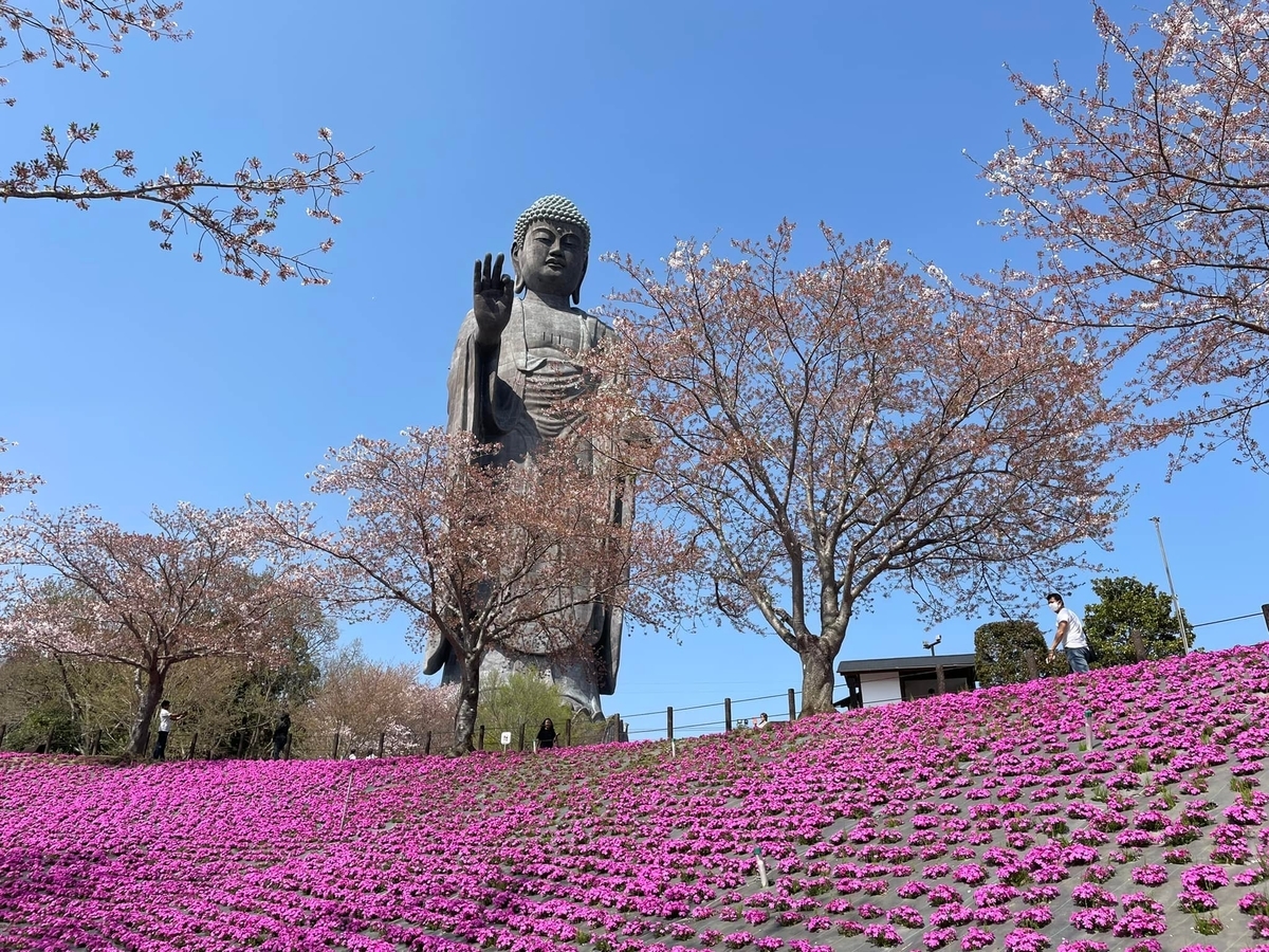 油絵大仏殿の春 楽天市場】絵画 油絵 常念岳と桜 （小川久雄） 送料無料 【肉筆