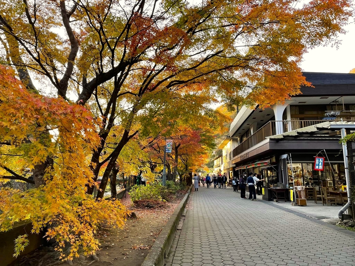 袋田の滝の紅葉2022!現在の状況や混雑具合、各種イベントについて【茨城・大子町】 - One Access