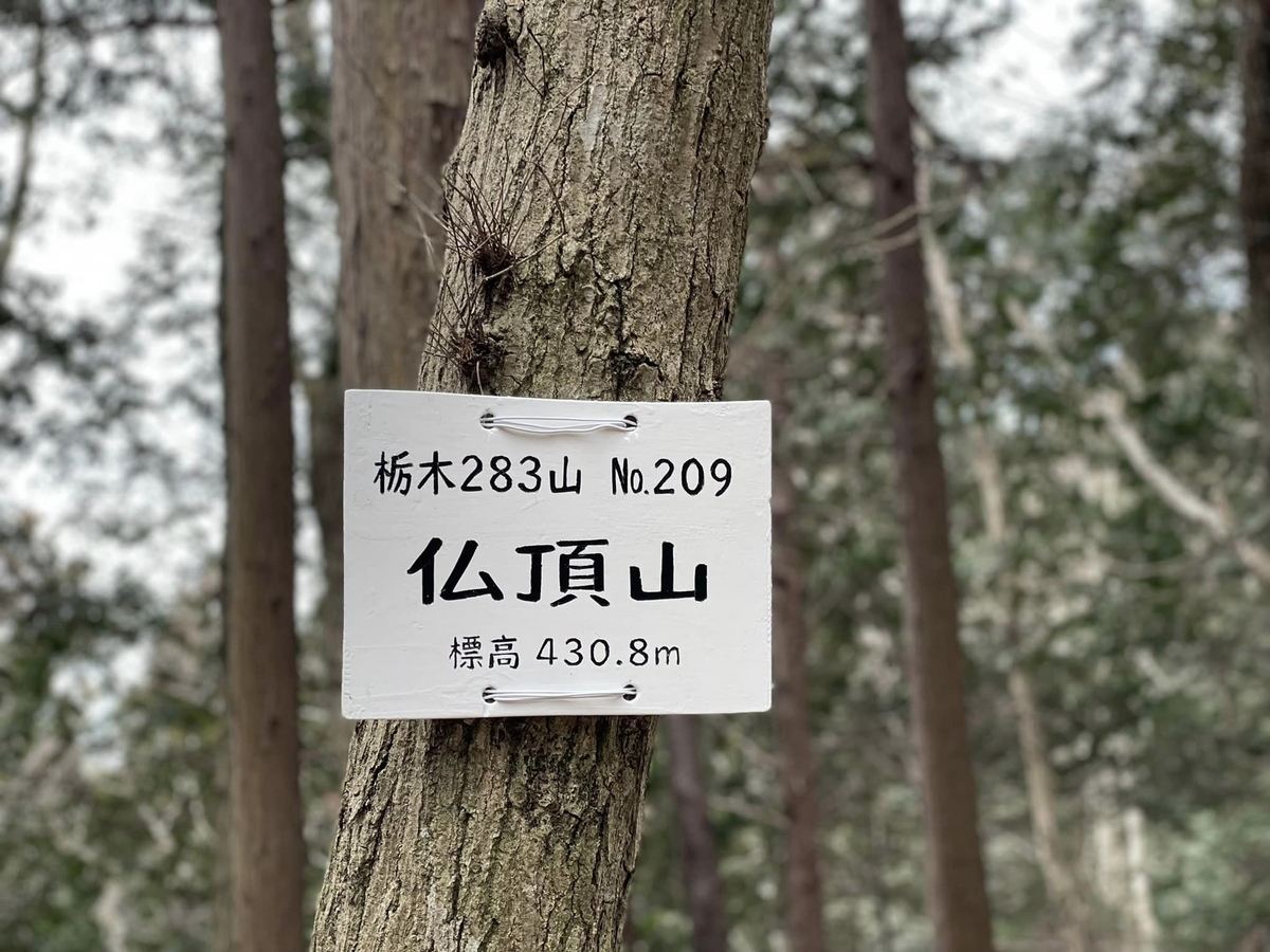 【極美品】咬合の岳(やま)をゆく! : 高くて険しい咬合を登頂するための道標 楽天市場】咬合の岳(やま)をゆく! 高くて険しい咬合を登頂する