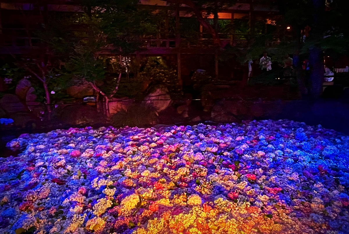 雨引観音あじさい祭り2023！水中華ライトアップの期間や時間、混雑具合