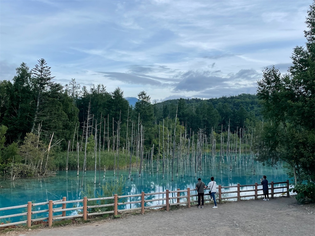 f:id:ogawasss0827:20230816115803j:image