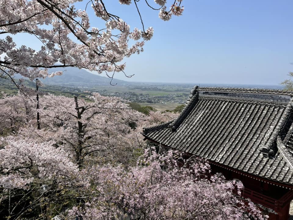 秋桜さま　専用 G642-T84_1.jpg