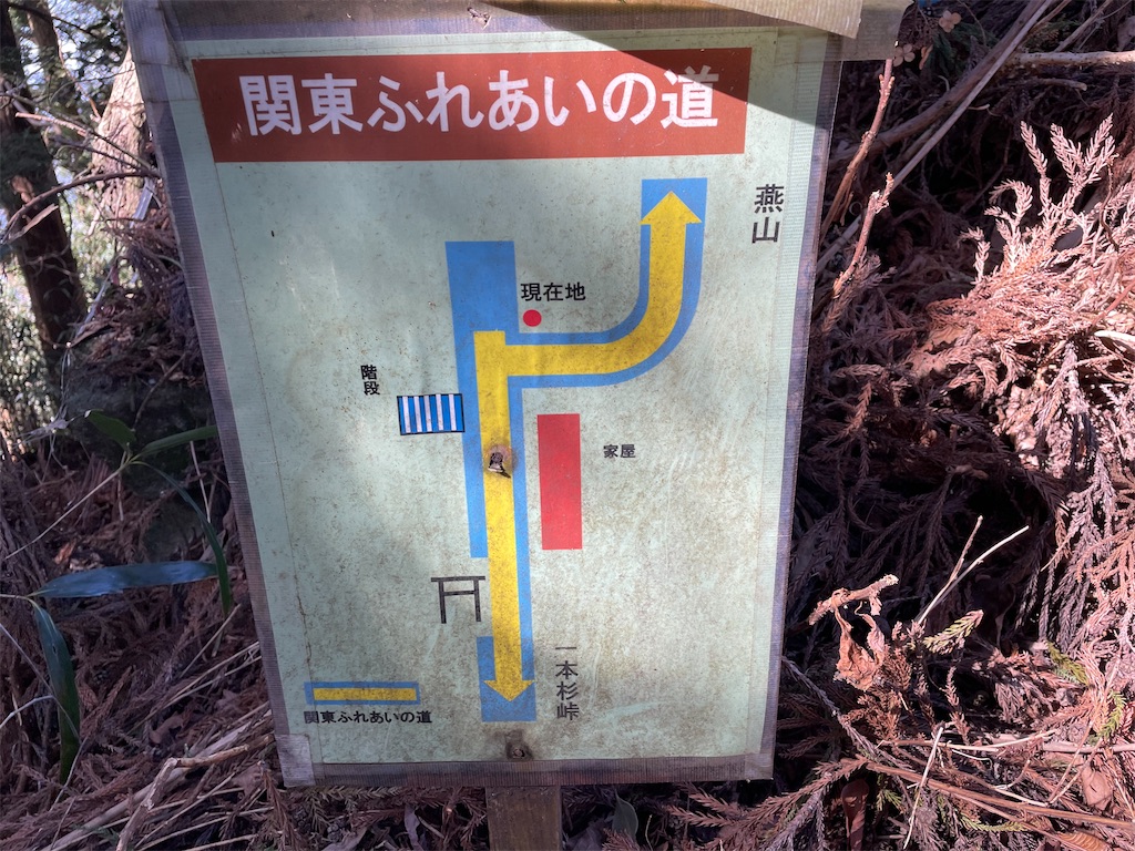 f:id:ogawasss0827:20250225080231j:image
