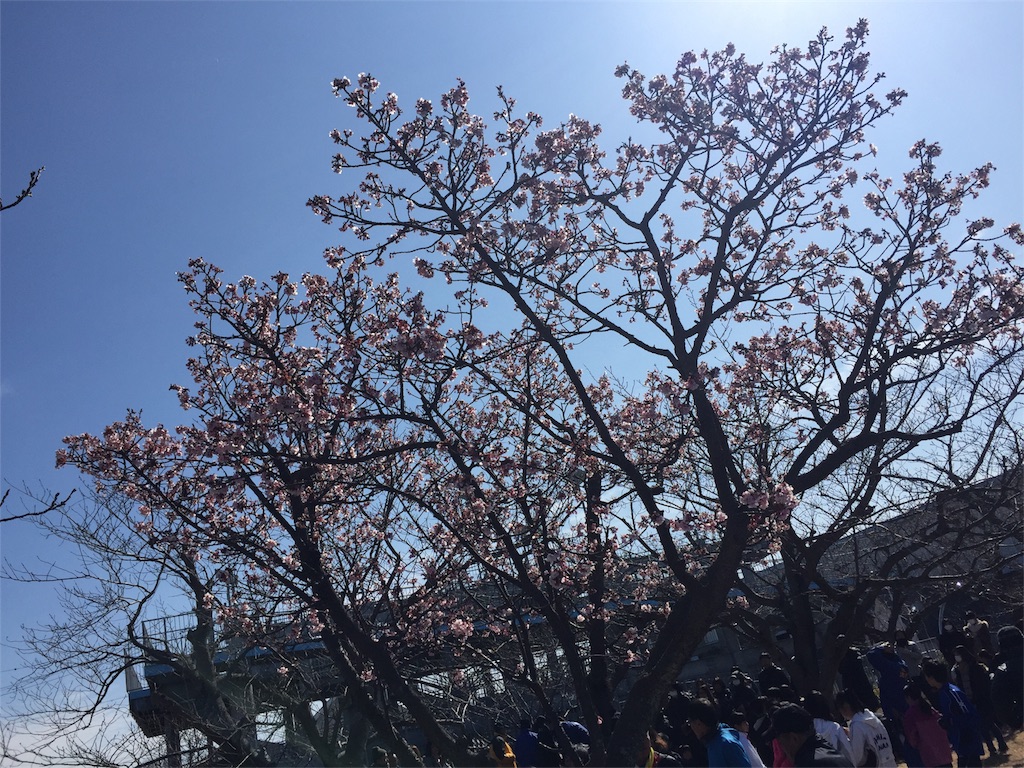 f:id:ogawork123:20180219183103j:image f:id:ogawork123:20180219183103j:image