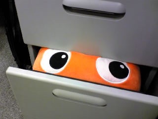 ニモめ