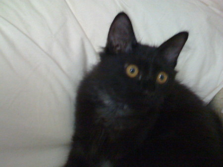 20080809114804
