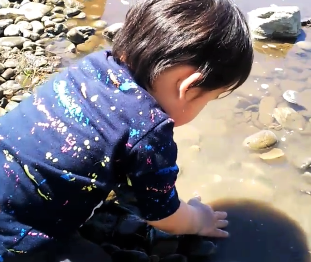 f:id:ogimaru_9:20200604230253p:plain f:id:ogimaru_9:20200604230253p:plain
