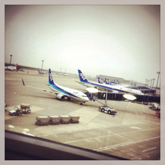 f:id:ogin29cm:20131102073320j:plain f:id:ogin29cm:20131102073320j:plain