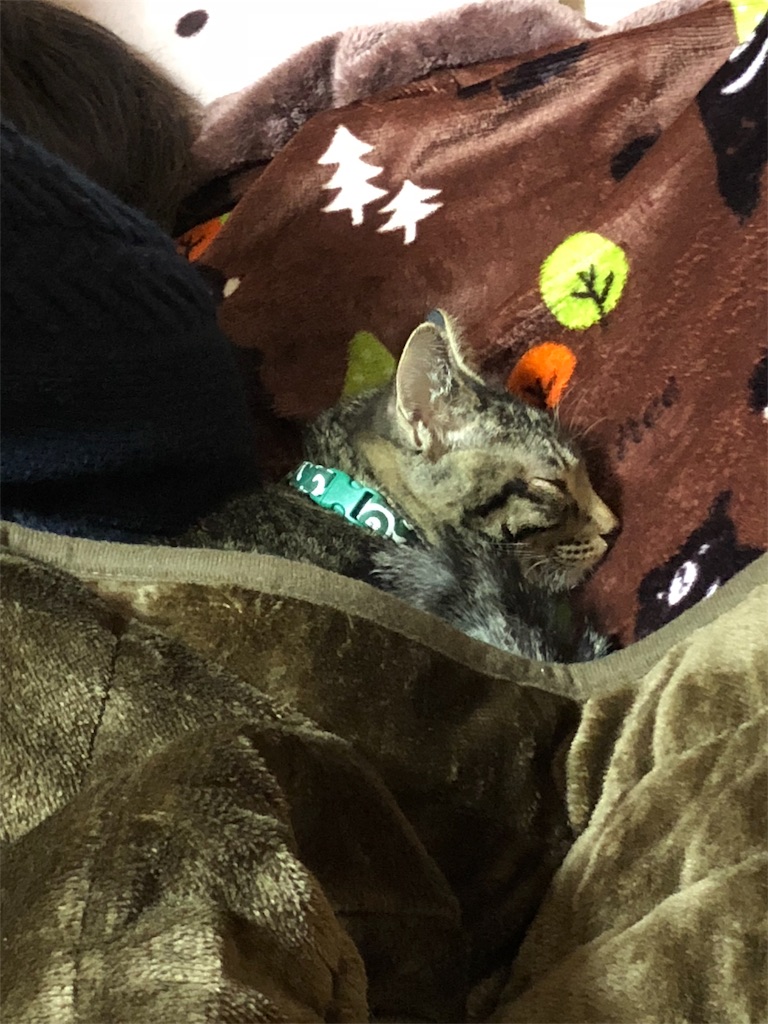 f:id:oginta:20181019205726j:image