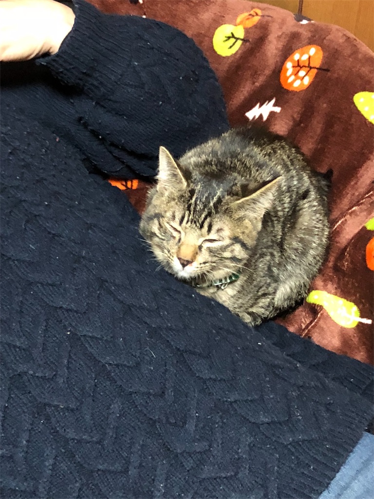 f:id:oginta:20181019205739j:image