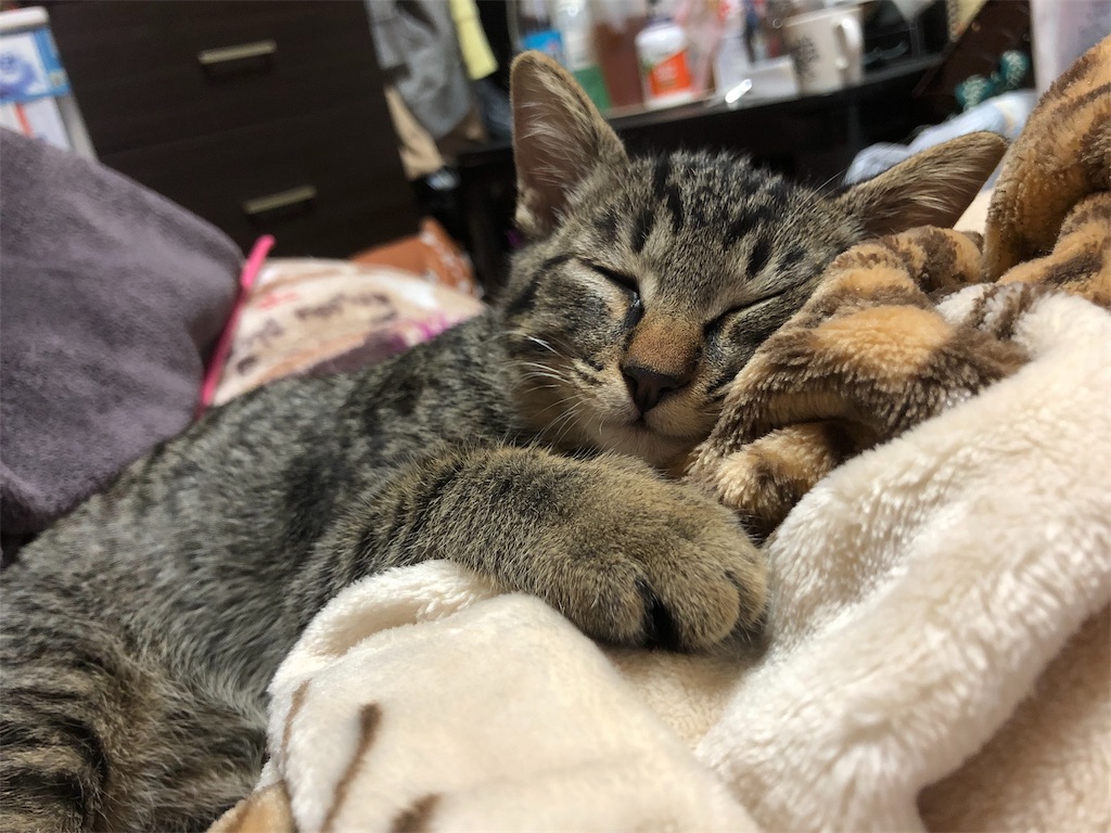 f:id:oginta:20181130162053j:image