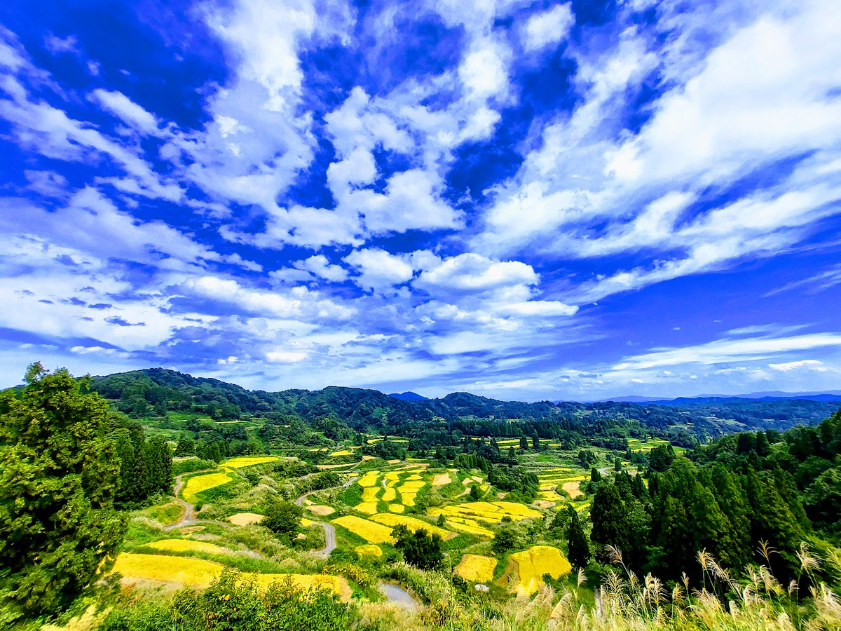 日本の絶景 実りの秋 新潟県十日町星峠 豊かなセカンドライフを目指して