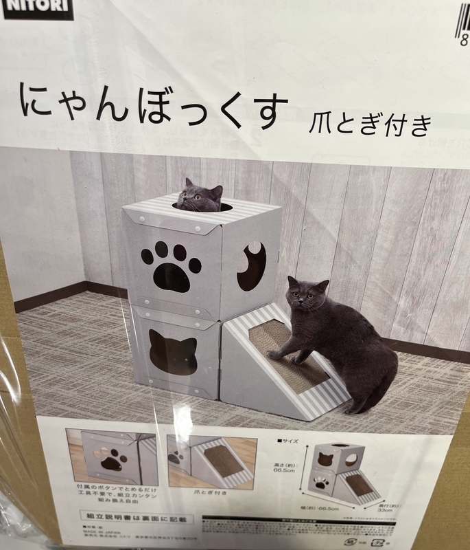 ニトリの猫爪とぎグッズの写真猫が可愛すぎる - 40代未亡人の