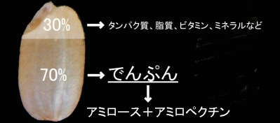 f:id:ogoesamurai:20181018090439p:plain f:id:ogoesamurai:20181018090439p:plain