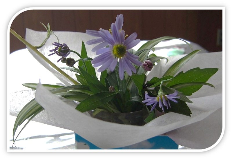 f:id:ogohnohito:20131101075421j:image:w300 f:id:ogohnohito:20131101075421j:image:w300