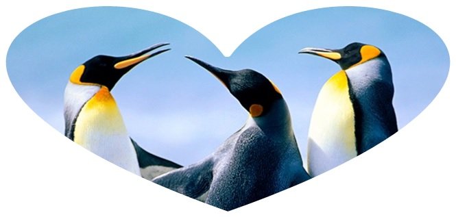 f:id:ogohnohito:20140207105218j:image:w400 f:id:ogohnohito:20140207105218j:image:w400