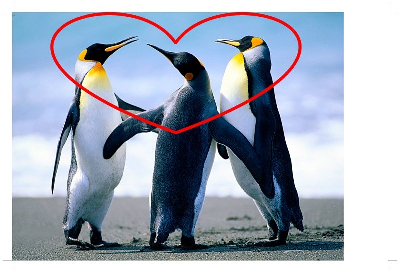 f:id:ogohnohito:20140207111140j:image:right:w320 f:id:ogohnohito:20140207111140j:image:right:w320