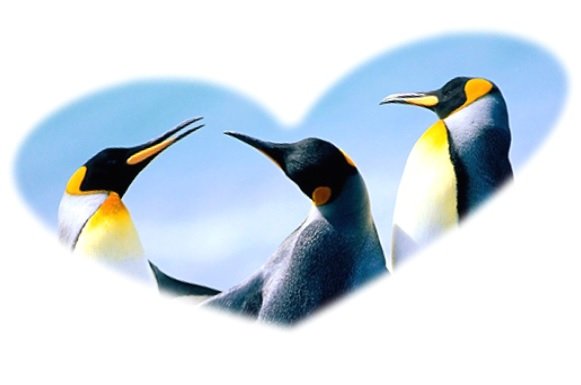 f:id:ogohnohito:20140207115421j:image:right:w320 f:id:ogohnohito:20140207115421j:image:right:w320