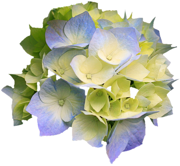 f:id:ogohnohito:20140321131937p:image:w320 f:id:ogohnohito:20140321131937p:image:w320