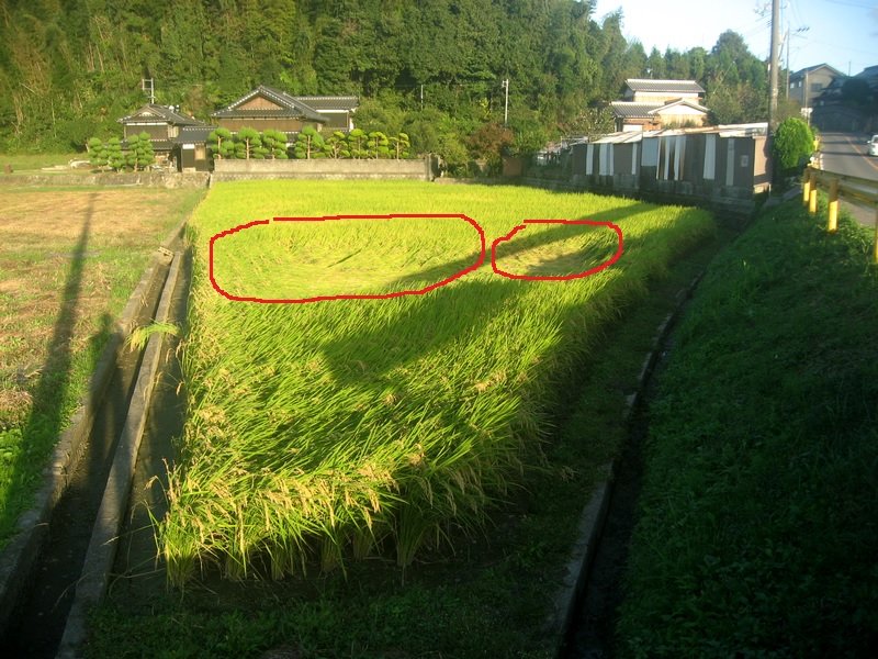 f:id:ogohnohito:20141015071233j:image:w400 f:id:ogohnohito:20141015071233j:image:w400