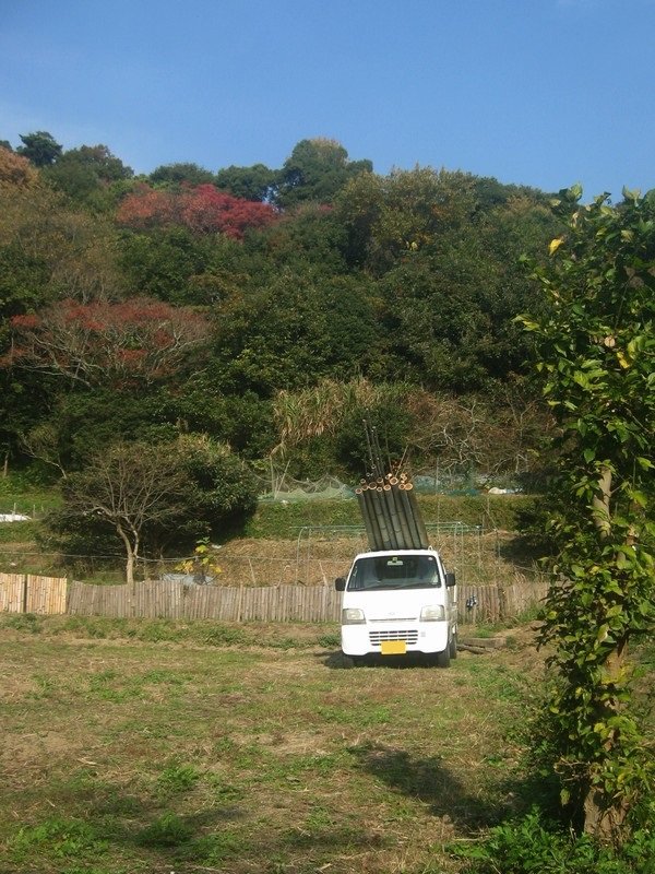 73th A 半年ぶりに竹を切り 1本3 6mをかついで運んだ 軽トラの最大積載寸法を確認 まりふのひと