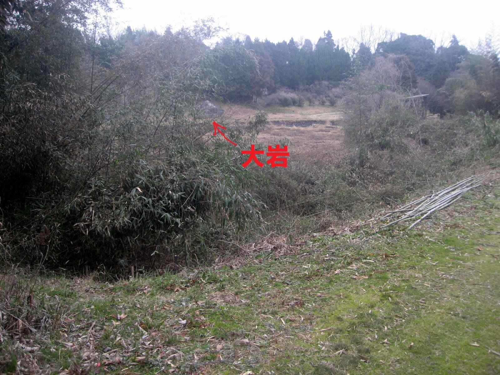 f:id:ogohnohito:20150301141419j:image:w480 f:id:ogohnohito:20150301141419j:image:w480