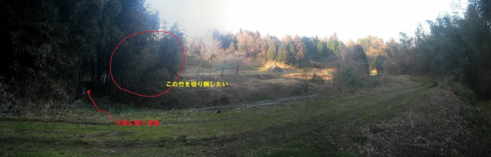 f:id:ogohnohito:20150308214158j:image:w800 f:id:ogohnohito:20150308214158j:image:w800