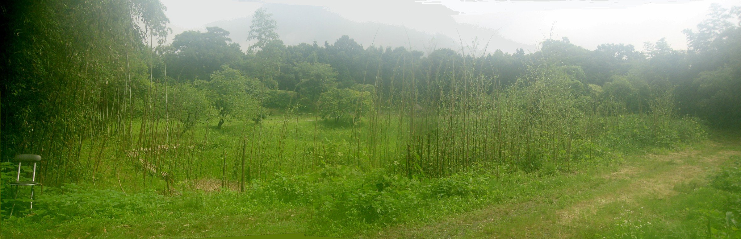 f:id:ogohnohito:20150613180648j:image:w720 f:id:ogohnohito:20150613180648j:image:w720