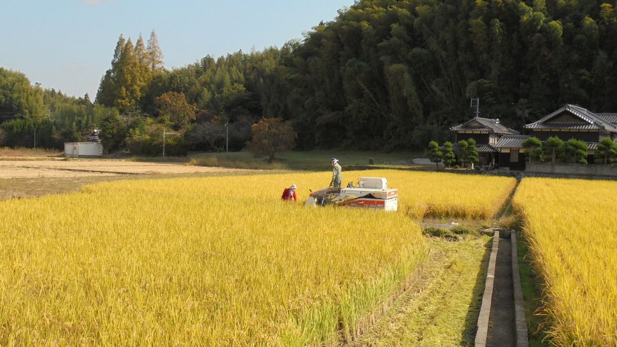 f:id:ogohnohito:20151030180829j:image:w640 f:id:ogohnohito:20151030180829j:image:w640
