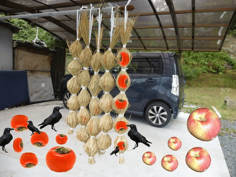 f:id:ogohnohito:20151101064632g:image:w400