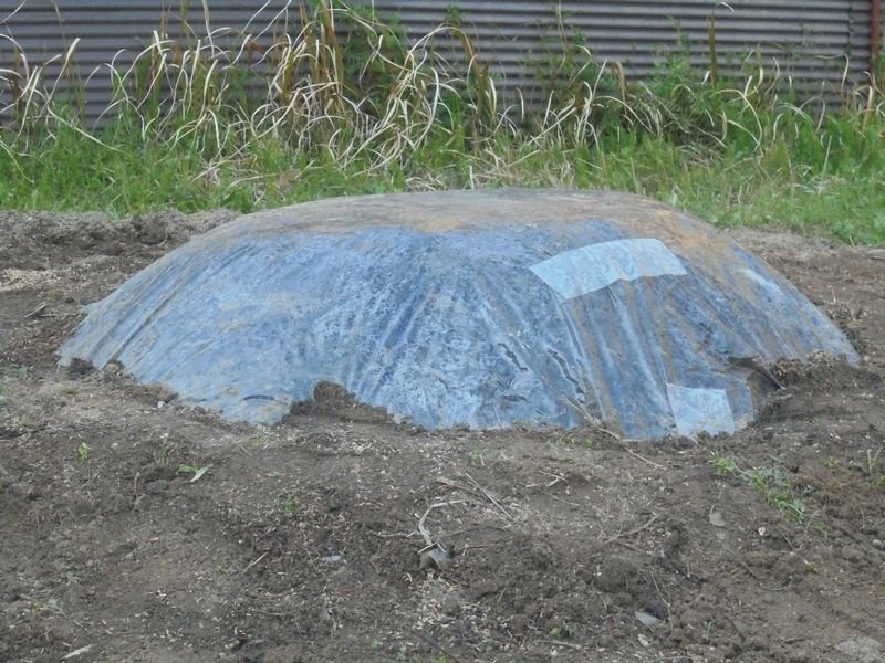 f:id:ogohnohito:20170404184150j:image:w320